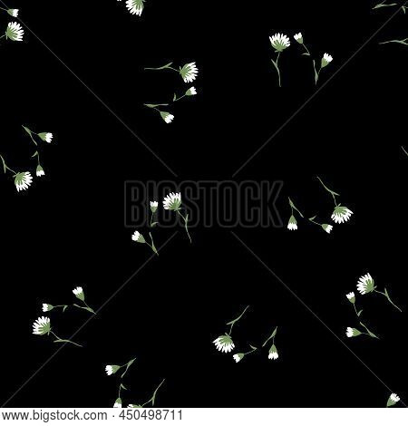 Blossom Floral Seamless Pattern. Doodle Abstract Branches Scattered Random. Thand Drawn Small White 