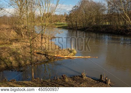 Bare Trees On The Banks Of The Nidda River In Winter, Frankfurt