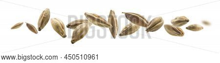 Barley Malt Grains Levitate On A White Background