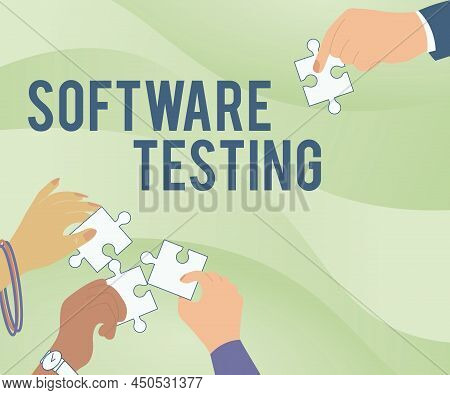 Conceptual Display Software Testing. Business Overview Investigation Provide Information About The Q