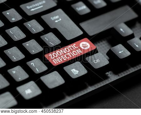 Inspiration Showing Sign Zoonotic Infection. Business Showcase Zoonotic Infection Typing Image Descr