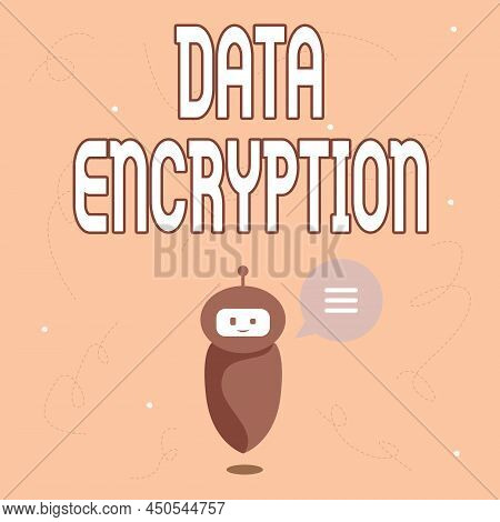 Text Sign Showing Data Encryption. Business Approach Symmetrickey Algorithm For The Encrypting Elect