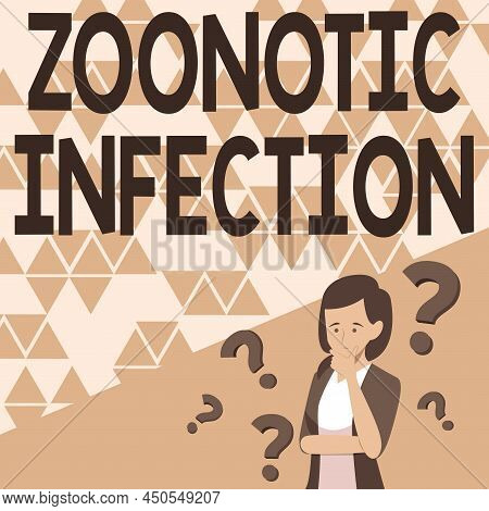 Text Showing Inspiration Zoonotic Infection. Concept Meaning Zoonotic Infection Lady Drawing Brainst