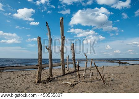Carnikava, Latvia, Coastal Scene At The Baltic Sea With Fallen Trees In A Sunny Day