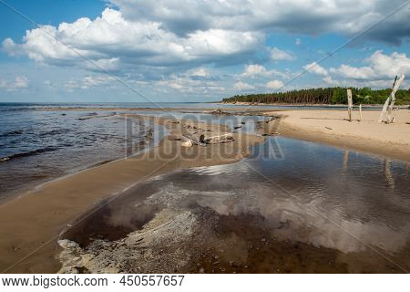 Carnikava, Latvia, Coastal Scene At The Baltic Sea With Fallen Trees In A Sunny Day