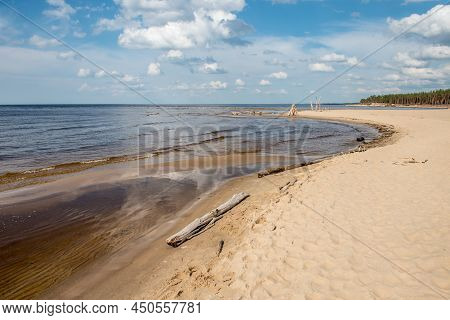 Carnikava, Latvia, Coastal Scene At The Baltic Sea With Fallen Trees In A Sunny Day