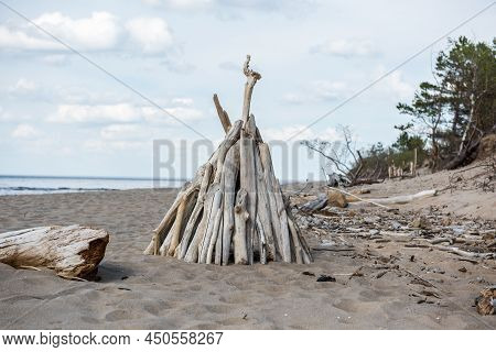 Stacked Light Trees And Branches By The Sea, Like A Wigwam Or A Bonfire. Natural Landscape In Latvia