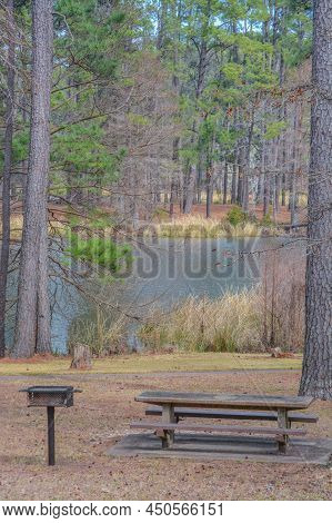 A Picnic Area At The Ratcliff Lake Recreation Area On Ratcliff Lake, Ratcliff, Texas