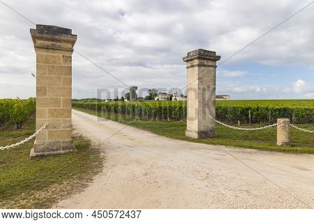 Typical vineyards near Saint-Julien-Beychevelle, Bordeaux, Aquitaine, France