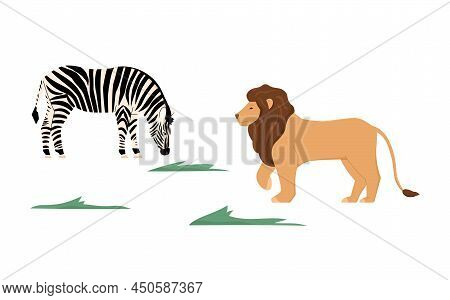 Lion And Zebra Mammal Animals Walking On The Grass, Flat Vector Illustration Isolated On White Backg
