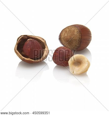 Some Hazelnuts, Whole And Without Shell,isolated On A White Background.