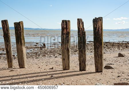 Old Weathered Jetty Posts Standing In Row On Beach Casting Shadow On Sand