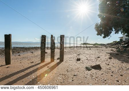 Old Weathered Jetty Posts Standing In Row On Beach Casting Shadow On Sand