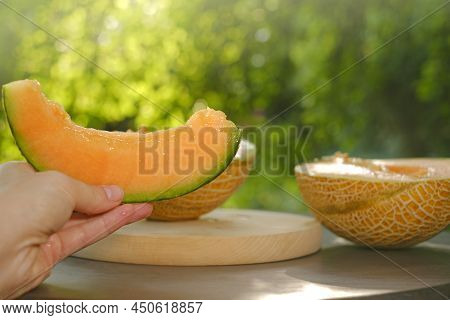 Melon.piece Of Ripe Melon.melon In A Cut In Female Hands. Appetizing Summer Fruits. Womens Hands Cut
