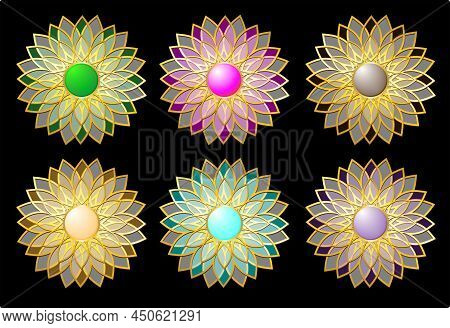 Transparent Flower Set Colorful Ornament Pattern Illustration