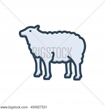 Color Illustration Icon For Lamb Baa-lamb Sheep Wool Cattle Livestock Domestic
