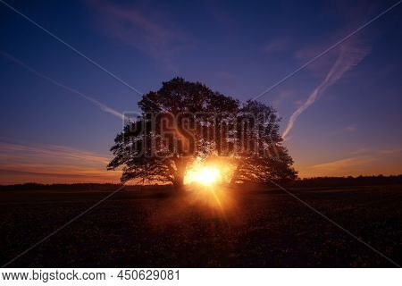 Beautiful Spring Sunreise Landscape With Trees. Seasonal Scenery Of Northern Europe.