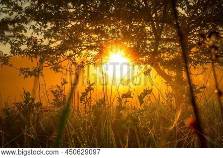 Beautiful Spring Sunreise Landscape With Trees. Seasonal Scenery Of Northern Europe.