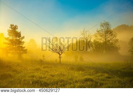 Beautiful Spring Sunreise Landscape With Trees. Seasonal Scenery Of Northern Europe.