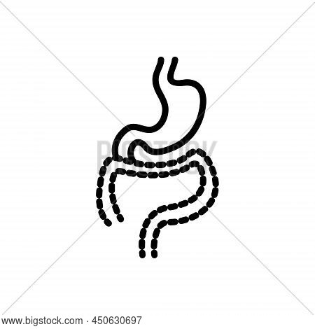 Black Line Icon For Tract System Digestive Intestine Organ Stomach Gastro Anatomy