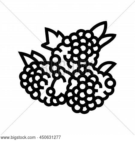 Raspberry Berry Line Icon Vector. Raspberry Berry Sign. Isolated Contour Symbol Black Illustration