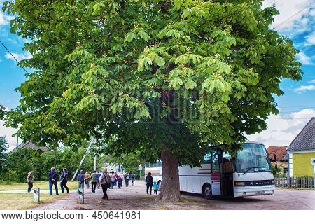 Krasnolesye, Russia - June 12, 2016: Tourist Group With Unknown People In The Village Of Krasnolesye