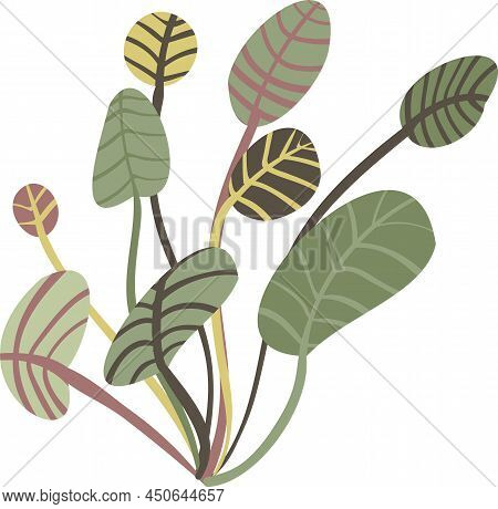 A Leafy Green Plant Simple Vector Illustration