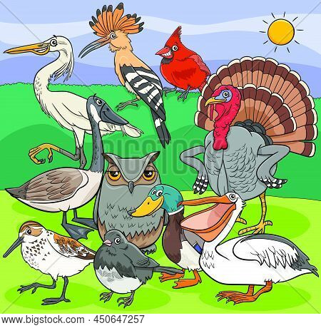 Cartoon Illustration Of Funny Birds Animal Comic Characters Group