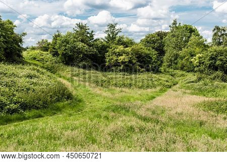 The Green Semi-natural Meadows Of The Kauwberg Nature Reserve , Summer,  Uccle, Belgium,