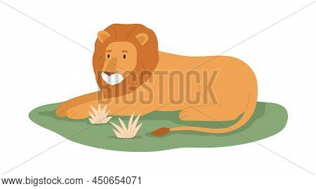 Lion, King Animal Relaxing On Grass. Wild Feline With Mane Lying. Jungle Habitant. African Tropical 