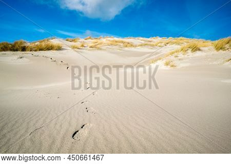 Bootprints Coming Down From The Sand Dune With Yellow Grass On Top Under Bright Blue Sky. Sunny Wint