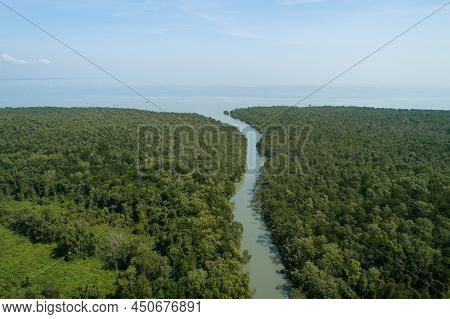 Amazing Abundant Mangrove Forest Aerial View Of Forest Trees Rainforest Ecosystem And Healthy Enviro