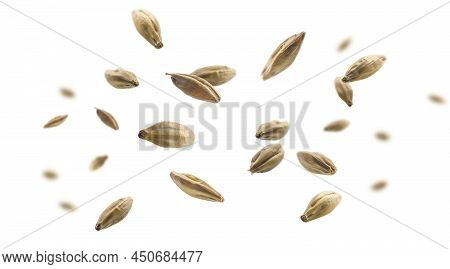 Barley Malt Grains Levitate On A White Background