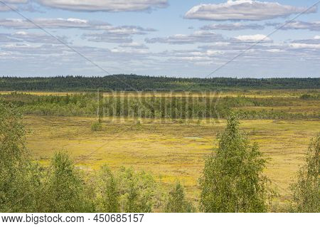 View Of The Torronsuo National Park In Summer, Finland