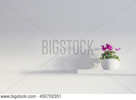Cyclamen In Flowerpot On Wooden Shelf On Background White Wall