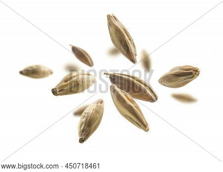 Barley Malt Grains Levitate On A White Background