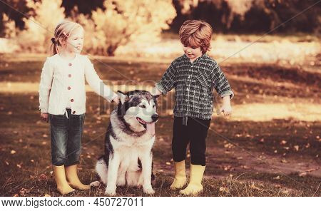 Happy Little Children Having Fun With Dog Pet On Field. Child 5 Years Old. Carefree Childhood. Kids 