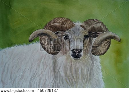White Ram With Twisted Horns On A Bright Green Background. Original Watercolor Painting