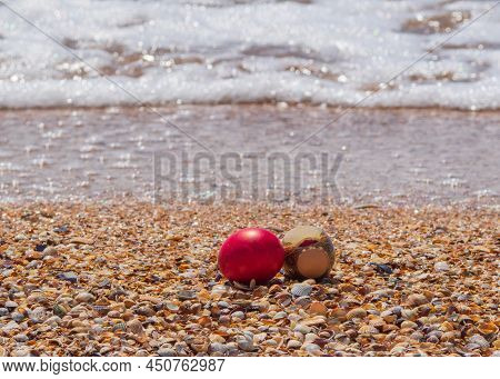Colorful Easter Eggs Surrounded By Seashells On An Ocean Beach Against A Background Of Sparkling Sea