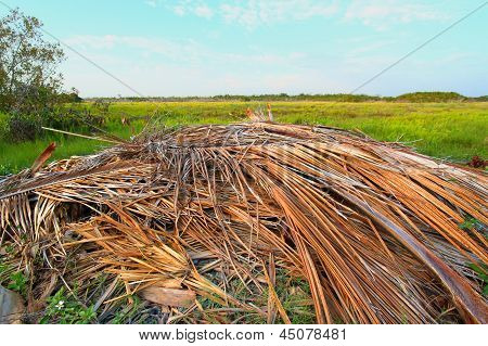 Everglades Prairie pobřežní krajina