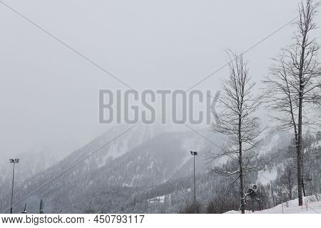 Russian Winter In The Mountains. View Of The Snow-capped Mountains Covered With Bare Trees And Firs.
