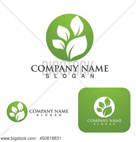 Logos Of Green Tree Leaf Ecology Template Vector Logo