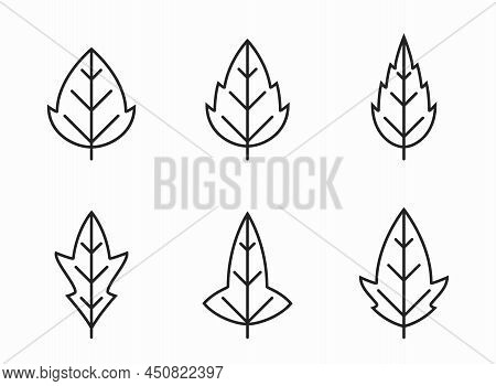 Seratted And Lobed Leaf Line Icon Set. Botanical And Nature Symbols. Three Leaves Images