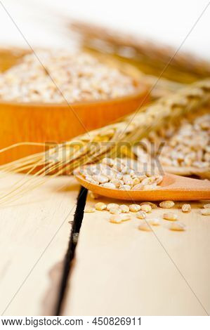 Organic Barley Grains