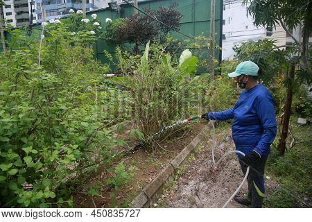 Salvador, Bahia, Brazil - January 28, 2022: View Of An Urban Vegetable Garden In The Caminho Das Arv
