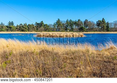 Small Island In The Middle Of A Lake, Brown Wild Grass, Trees With Green Foliage In The Blurred Back