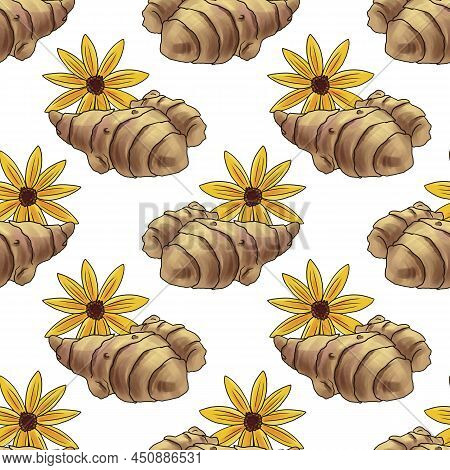 Seamless Pattern With Drawing Sunroot , Topinambur, Jerusalem Artichoke, Vegetables At White Backgro
