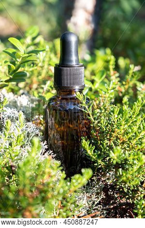 One Brown Glass Dropper Bottle With Serum, Essential Oil, Attar Or Other Cosmetic Product In Forest 