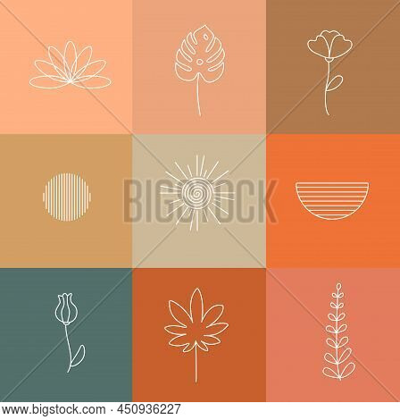 Boho Floral Logos Collection. Sun And Semicircle. Botanical Emblem Set. Flower And Monstera Design. 
