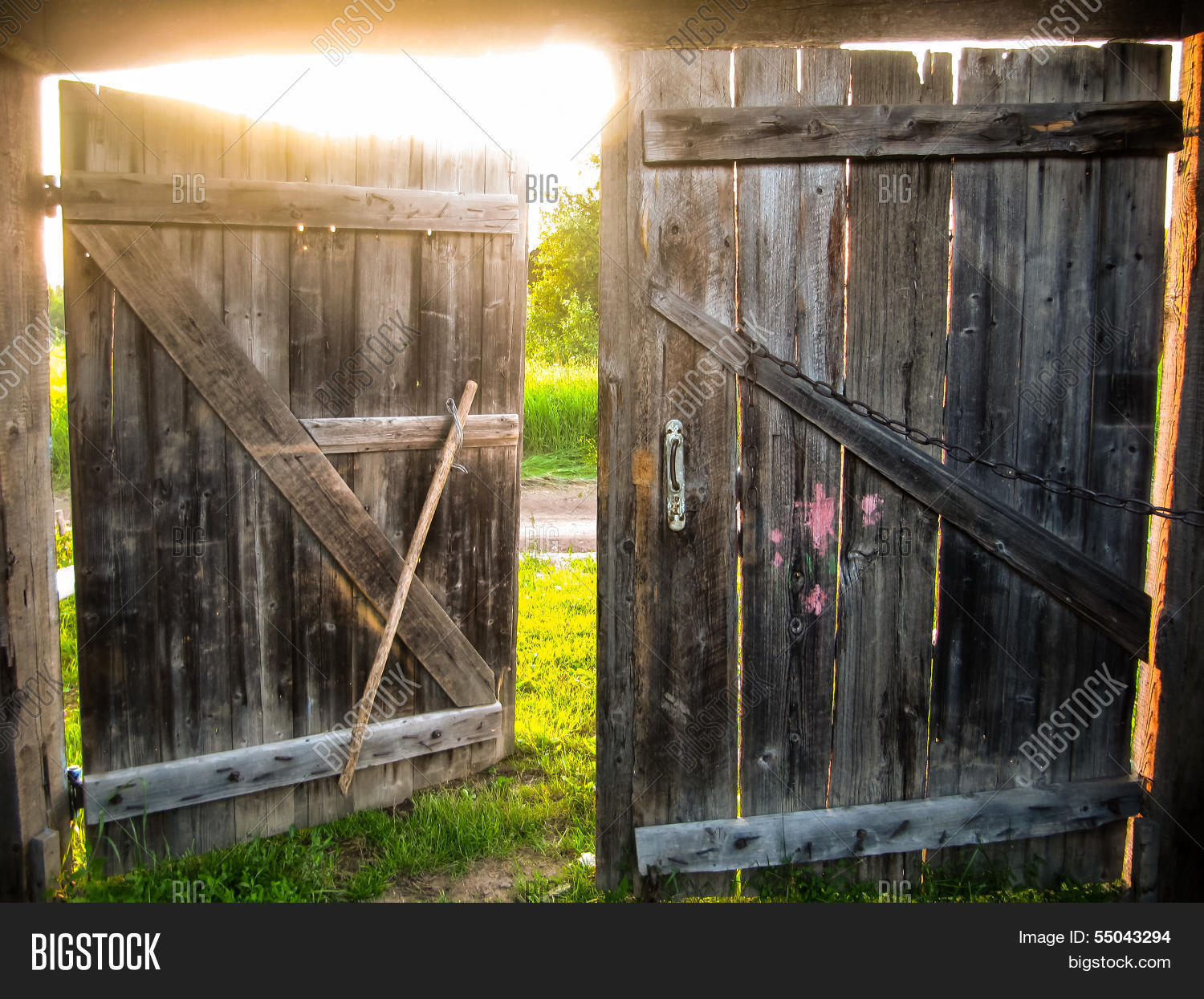 Image Preview